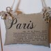 Tan, Paris Graphic Pillow, Hanging Pillow,French Country, Romantic, Cottage Chic, Ribbon