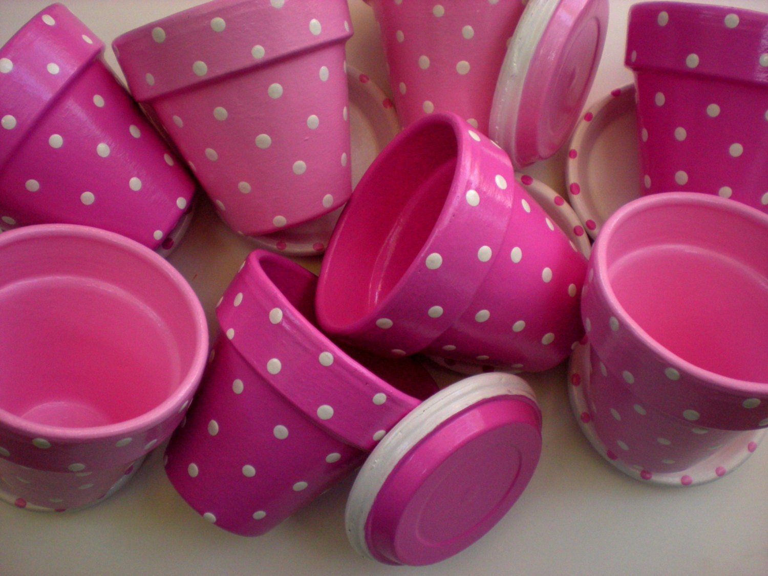 Wedding Favor Hand Painted Flower Pots