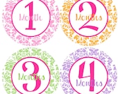 Girl Monthly Onesie Stickers - Baby Monthly Stickers - Pink, Orange, Green, Purple Damask Girl Month Stickers - Melissa Il_170x135