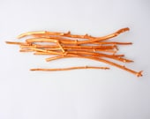 Metallic Gold Branches / made to order / Painted branches for vase / wooden branches
