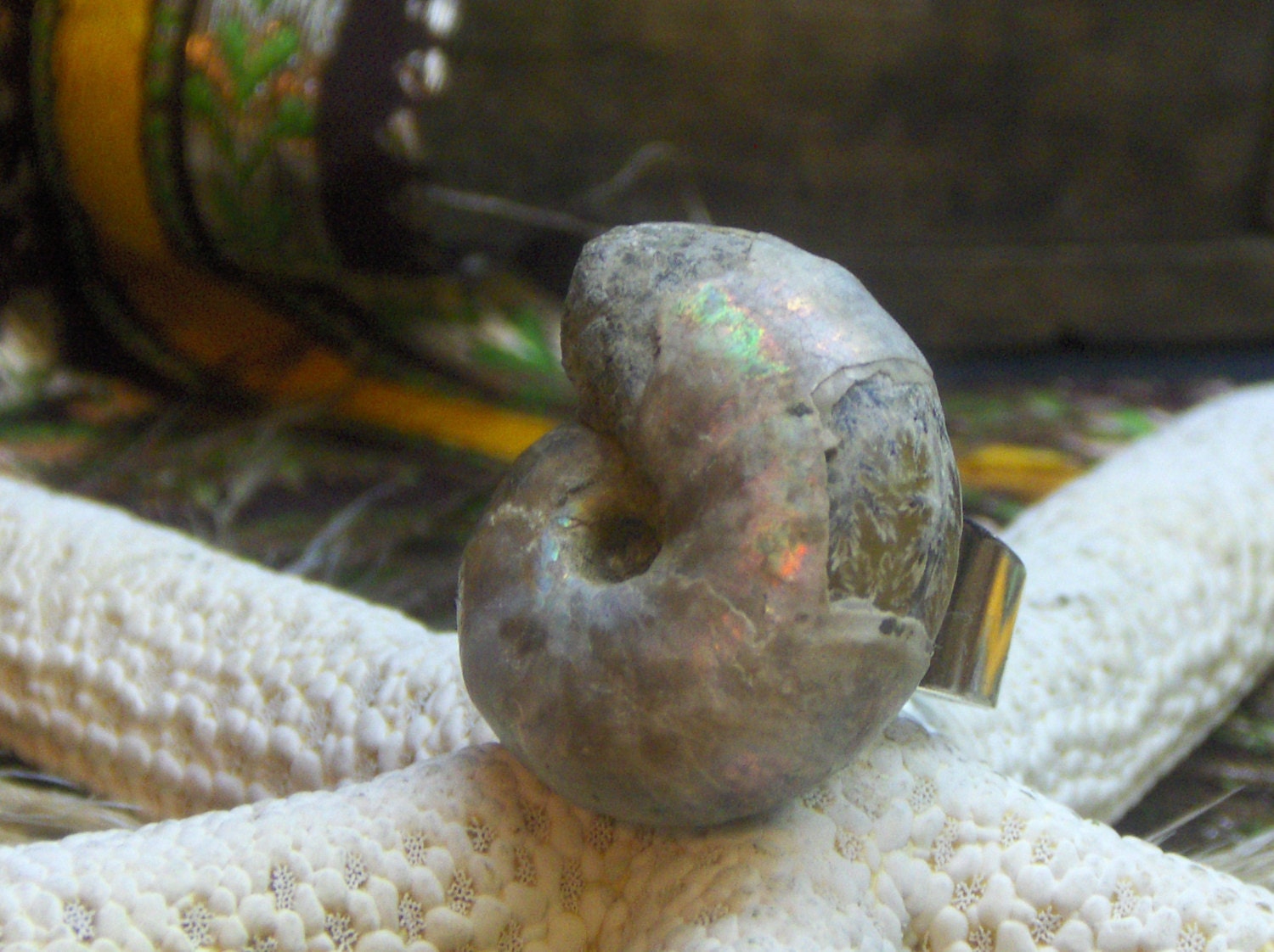 NAUTILUS . Genuine fossilized Ammonite ring