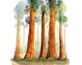 Redwoods-Landscape painting-Watercolor-Archival Print from my original watercolor  11x14 inch