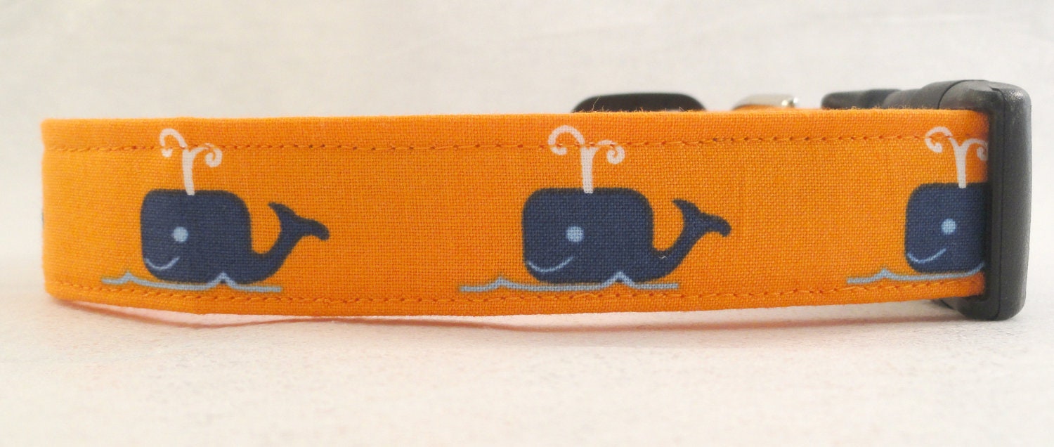 Awesome Blue Whales on Bright Orange Dog Collar All Hands on Deck