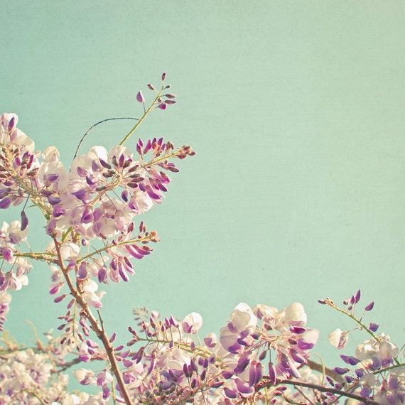 Wisteria - Summer flower photography, nature, spring decor, purple, mint, pastel, mother's day 8x8 Print