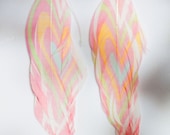 Rainbow Feather Earrings