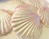 Fondant Seashells and Pearl cake topper or cupcake topper, beach wedding, ocean wedding edible decorations nautical party