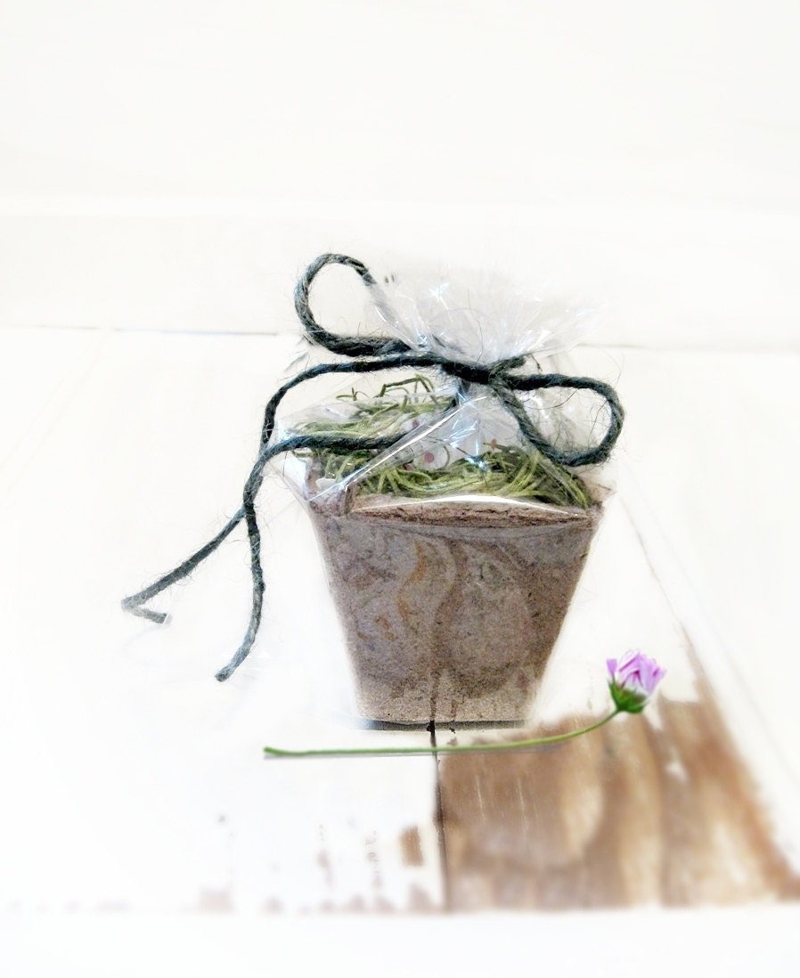 Buy flowering plants gifts - Blue Flax  Flower Plant Kit, Easy Gardening, Container Dirt Moss Food Great Gift