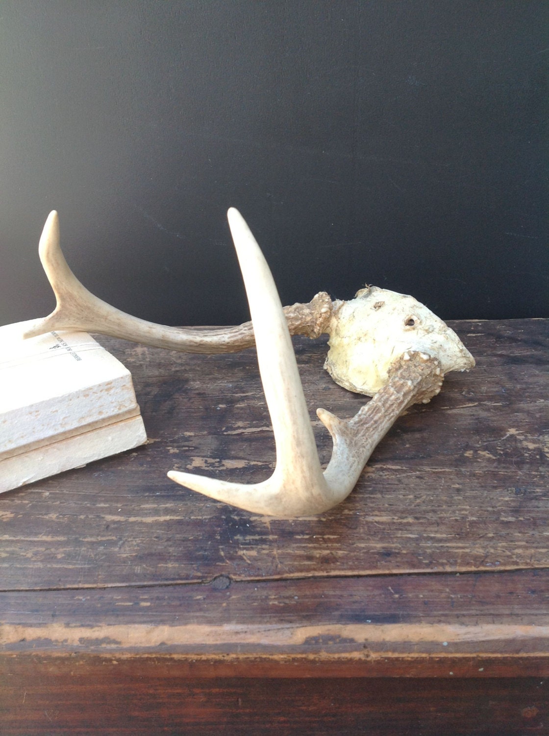 Vintage Set of Deer Antlers No. 6