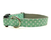 Dog Collar - Polka Dots in Mint