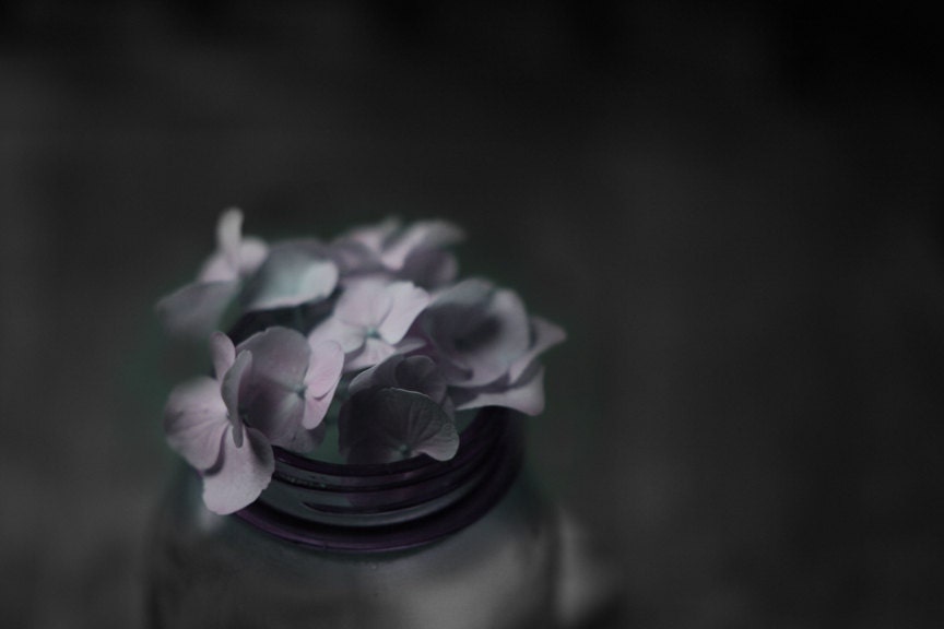 Still Life Photography of a Purple Jar and Hydrangea
