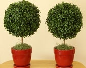 15" Twin Boxwood Topiary Centerpiece // Artifical Boxwood Topiaries // Faux Silk Boxwood Centerpieces