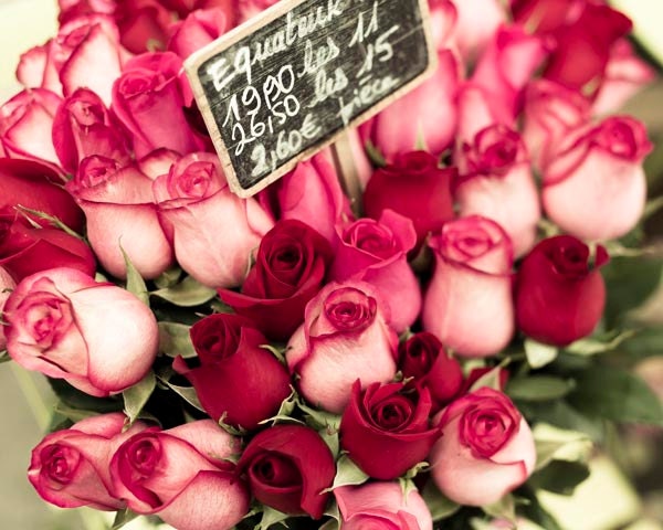 Paris Roses photography, pink and red roses in Montmartre, Flower photography, Paris Room Decor, 8x10 photo