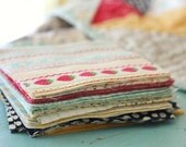 Quilt Kit Fabric Squares