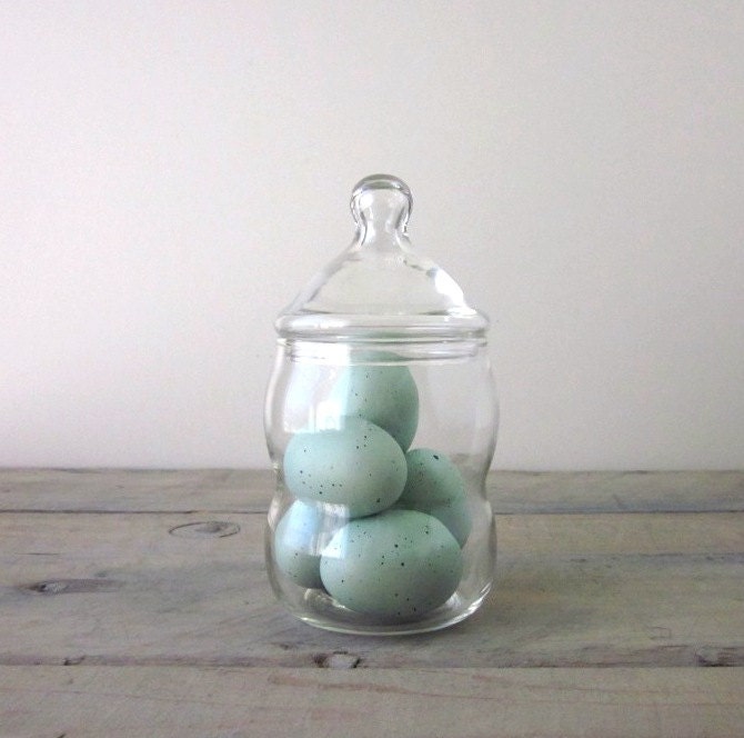 Glass Canister Apothecary Jar