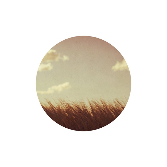Secret lovers / brown grass and sky / round photograph / fine art print / by Kitoki - 12x12