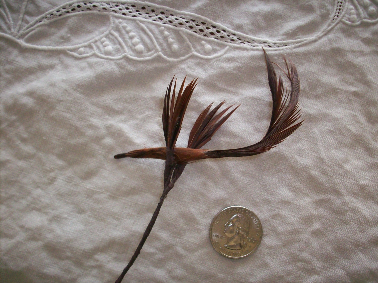 Vintage feather bird millinery piece 1940s in rich coffee