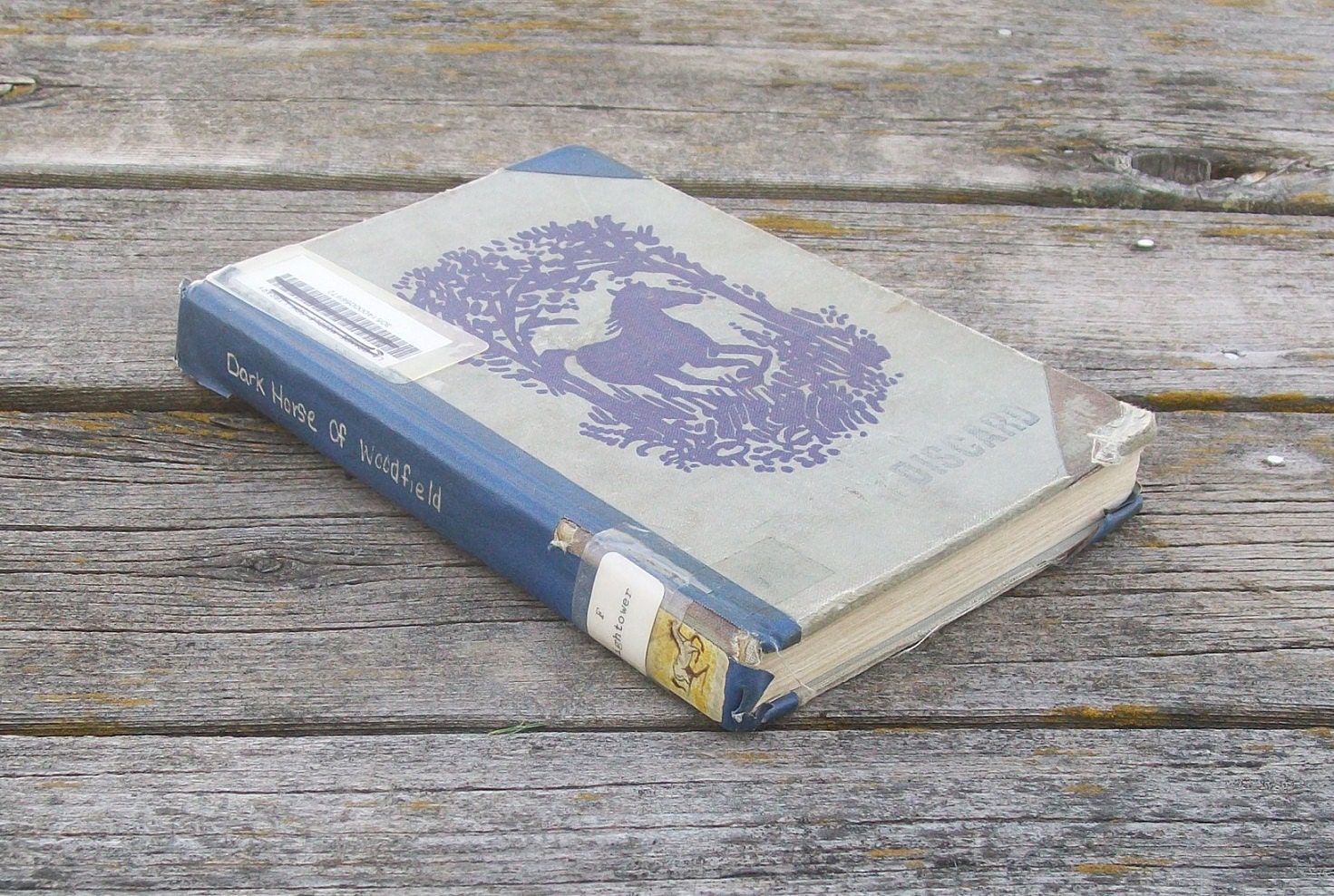 Vintage Book Dark Horse of Woodfield by Florence Hightower 1962