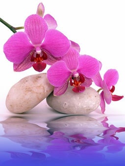 Orchid Rain vegan solid perfume