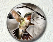 Pocket Mirror Hummingbird  Buy 3 get 1 Free  312-S