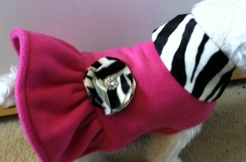 Pink Zebra Ruffle  Dog Jacket