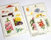 Ephemera pack - Vintage illustrations of plants