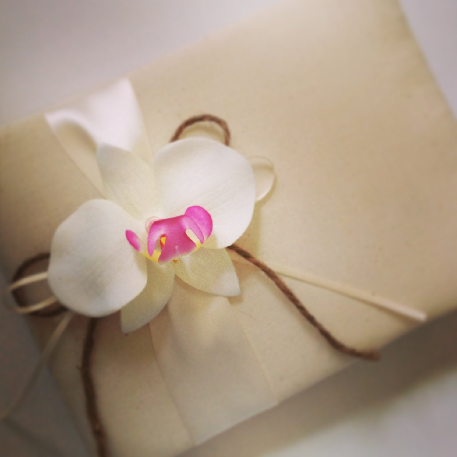 Rustic Tropical Hawaiian Wedding Guest Book - White Orchid - Ivory Ribbon With Matching Ribbon and Rope Bow - Handmade - FREE Shipping