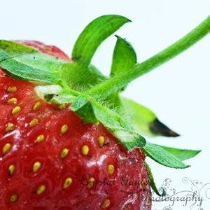 Strawberry Pepper Set of Two 5x5 Macro Photography Fine Art Food Print Home Decor Red Wall Art