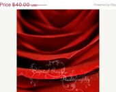 Flower Print Set of Two 5x5 Macro Photography Fine Art Flower Print Home Decor Red Wall Art