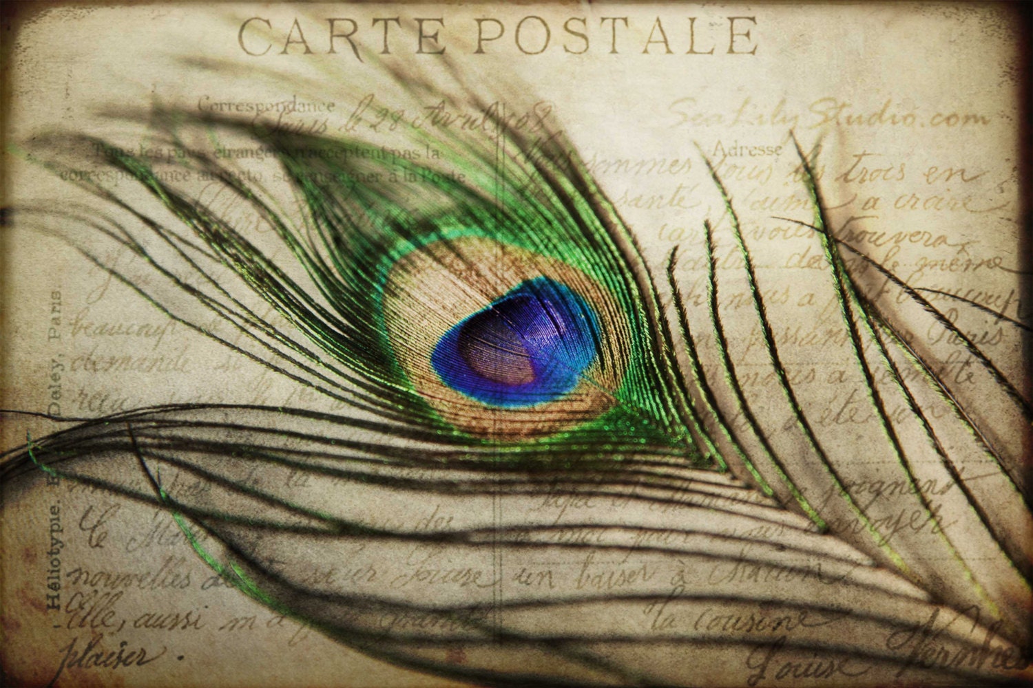Carte Postale - 12x18 - peacock feather surreal vintage french postcard love letter art nouveau blue green iridescent home decor