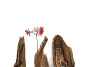 3 Unique Driftwood pieces for craft projects, aquarium or home decor