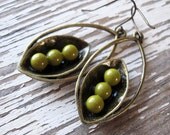 Green Peapod Earrings - Antique Brass