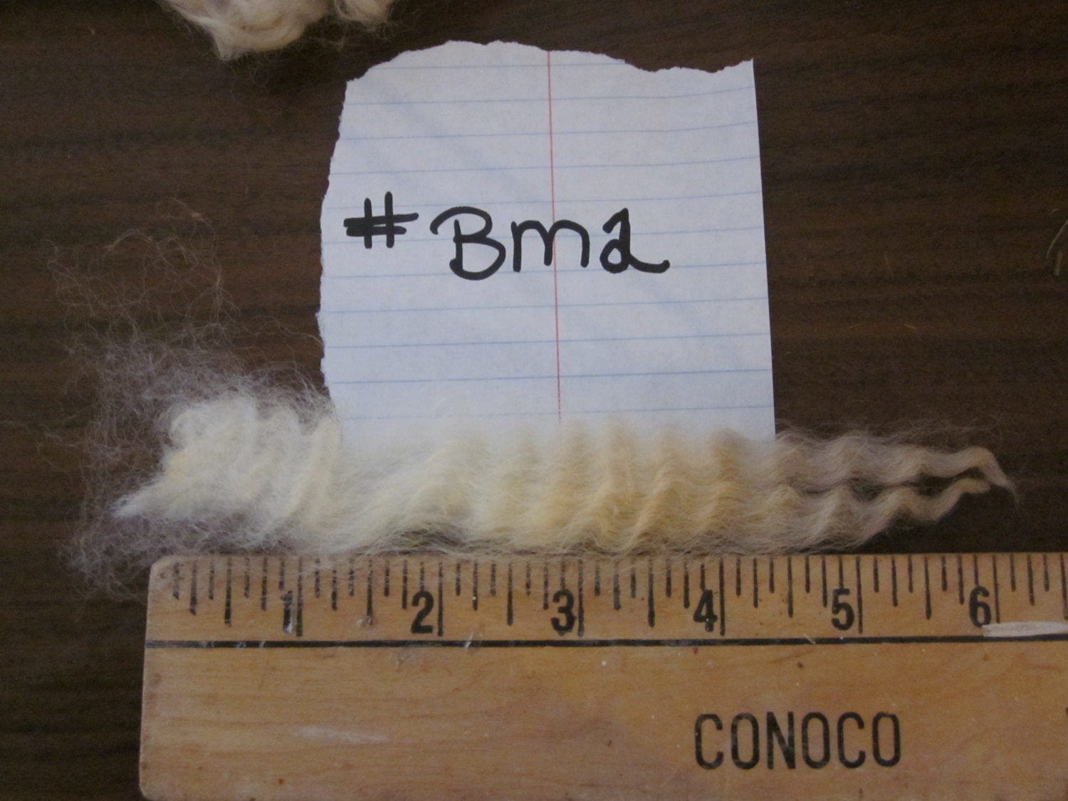 Border Leicester Raw Wool Unwashed Fiber Nice BM2