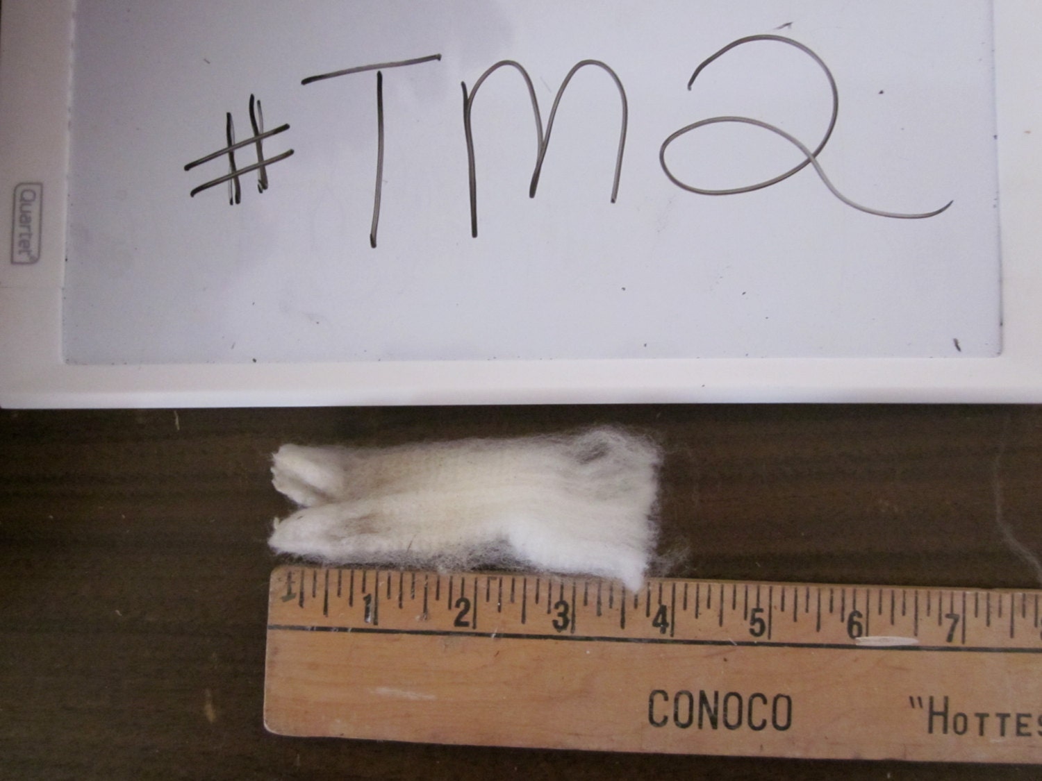 Targhee Merino Raw Unwashed Skirted Wool Fleece TM2