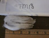 Targhee Merino Raw Unwashed Skirted Wool Fleece TM18