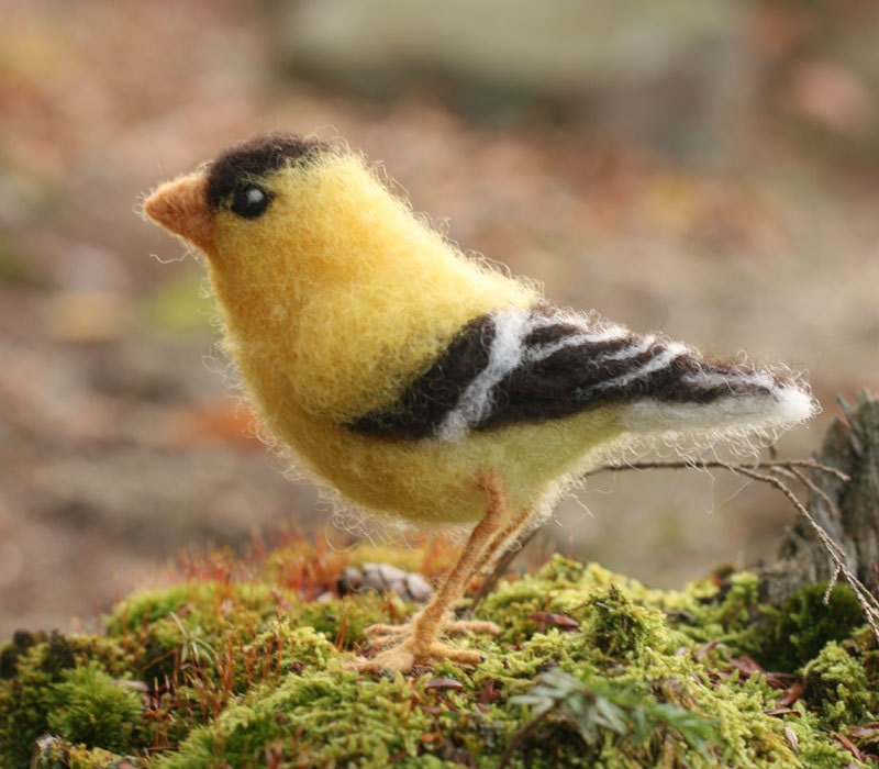 Needle felted Goldfinch, life sized bird