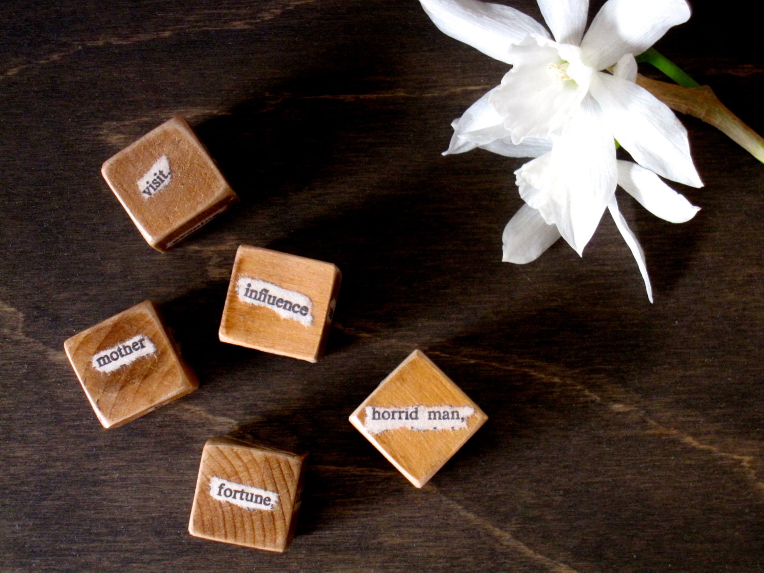Pride and PrejuDice - Jane Austen Unblockers Writer Dice Gift for Writers - Set of 5