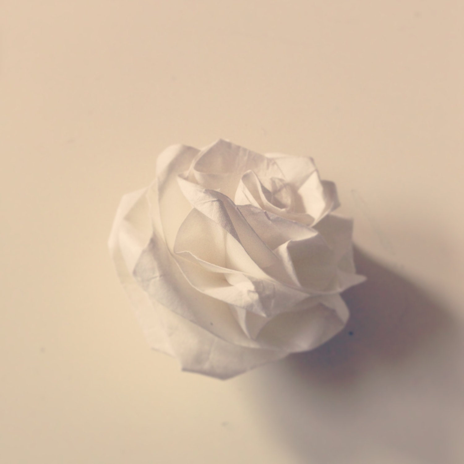 Origami Rose instructional video (duration 29min 30sec)