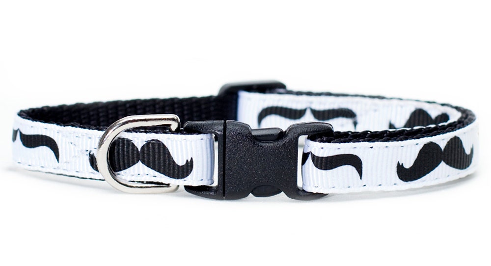 Cat Collar - The Alter Ego