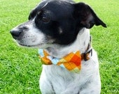 Bowtie Collar -Argyle Orange-