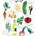 Kitchen art 8X10 print French soup recipe illustration Food poster Vegetable watercolor painting Kitchen decor