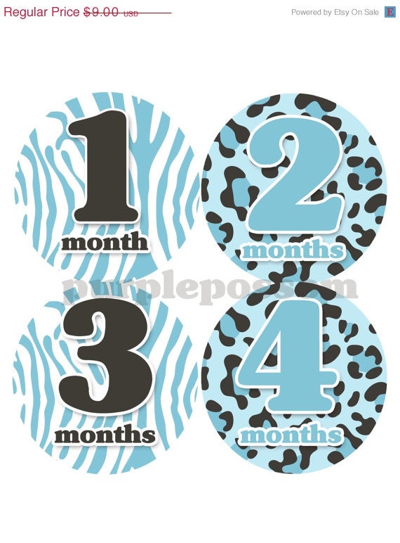 Baby Month Stickers Baby Boy Monthly Onesie Stickers Monthly Baby Sticker Boy Baby Shower Gift Photo Prop Baby Milestone