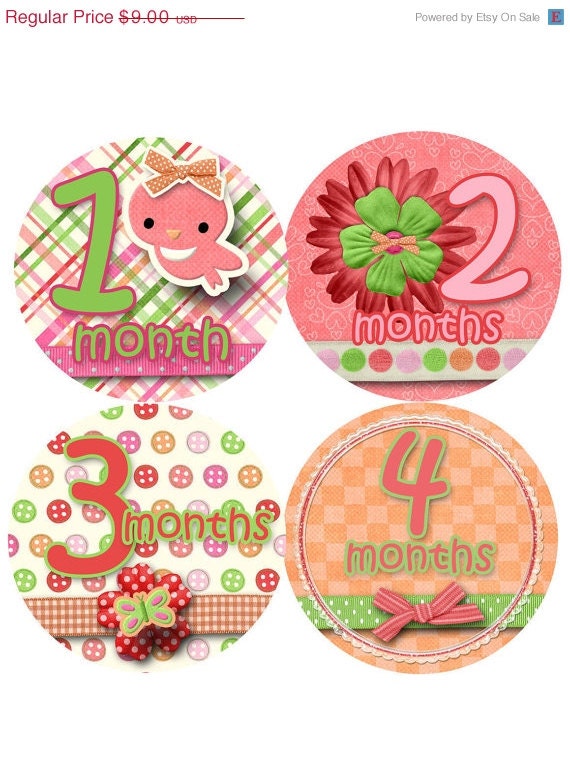 SALE Baby Month Stickers Monthly Onesie Stickers Month to Month Baby Stickers Onesie Stickers Butterfly Bird Flower Nursery Baby Girl Gift