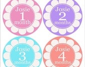 Baby Month Stickers Baby Girl Monthly Onesie Stickers Monthly Onesie Sticker Girl Baby Shower Gift Photo Prop Baby Milestone