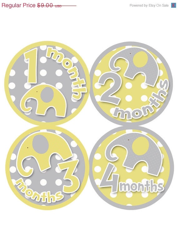 Monthly Baby Onesie Stickers Baby Month Stickers Baby Boy Stickers Monthly Onesie Stickers Baby Shower Gift Photo Prop Milestone Stickers