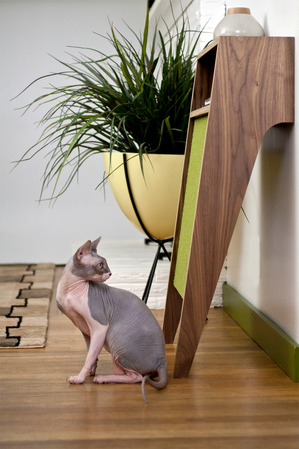 Mid Century Modern Console Table & Cat Scratcher