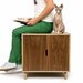 Mid Century Modern Dog Furniture