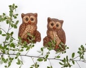 Vintage Horned Owl Decoy Wall Hangings Decor