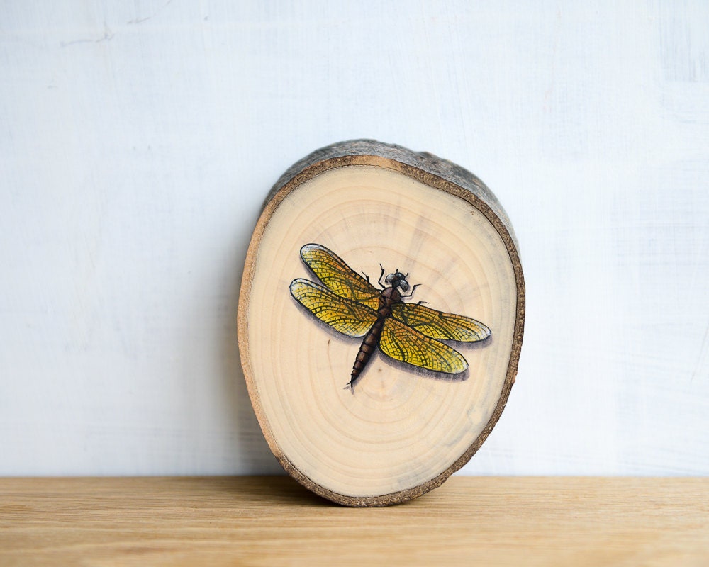 Dragonfly Art - Miniature Original Painting 'Common Amberwing' by Mara Minuzzo, insects, bugs, dragonflies