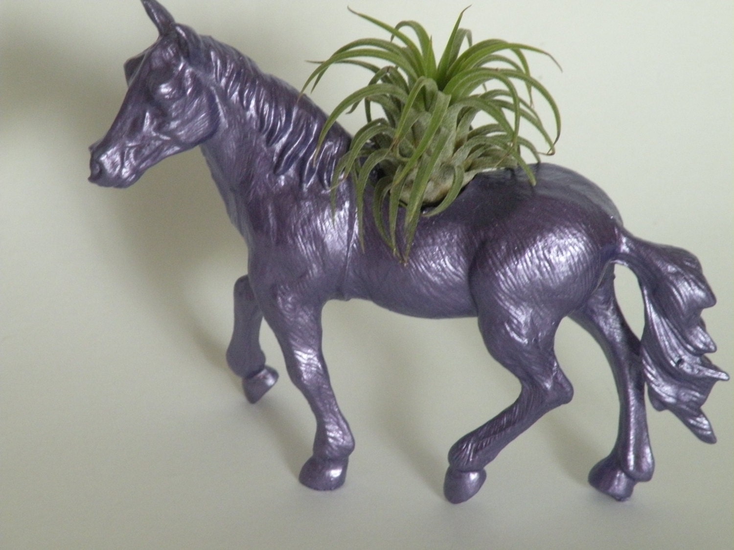 Live air plant in metallic purple horse planter. Ideal gift for horse or plant lover.