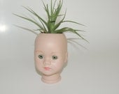 Creepy little bisque doll head planter with air plant.